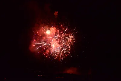DSC_3435 (Large).JPG